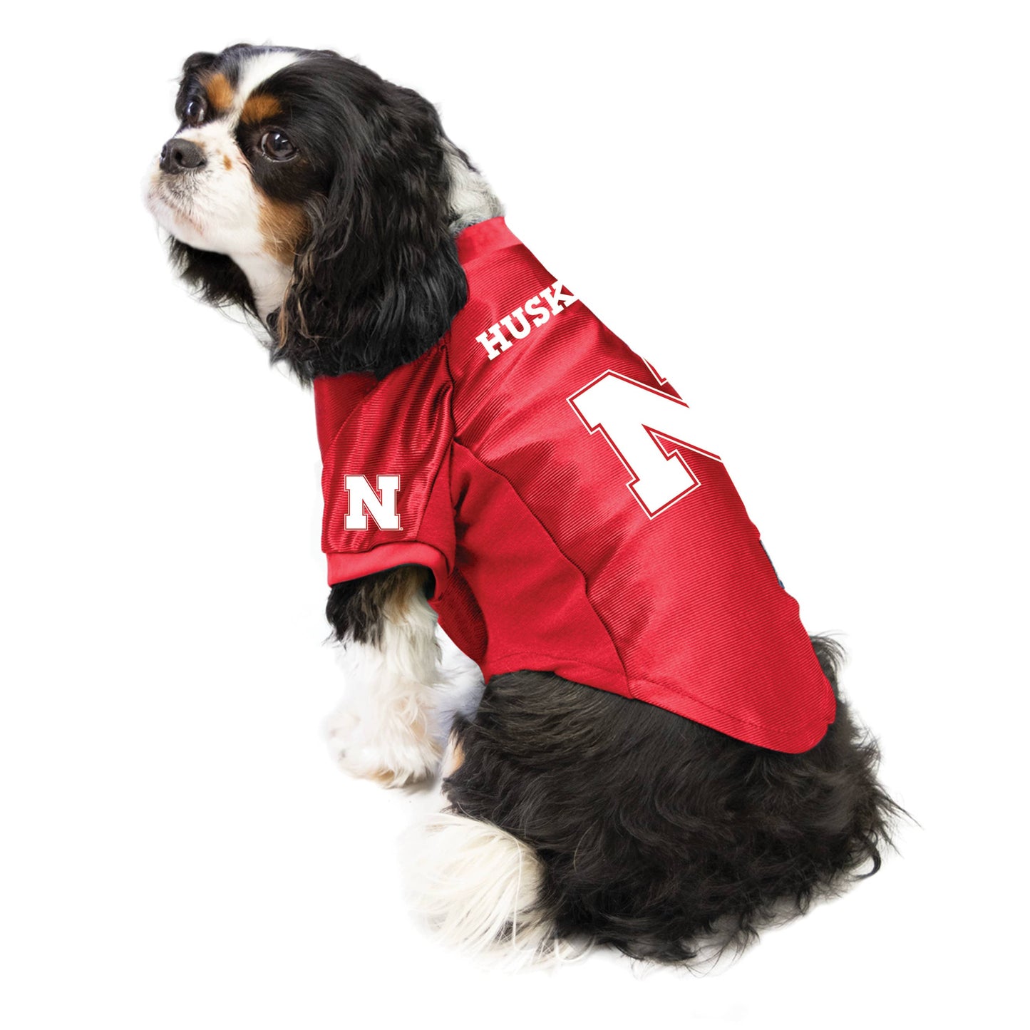 NCAA Nebraska Cornhuskers Pet Stretch Jersey