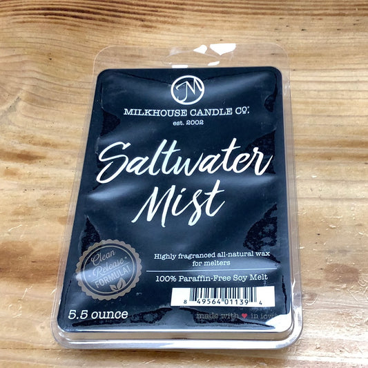 Saltwater Mist Wax Melt